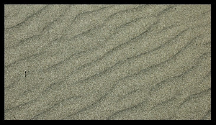 Le dune di Castel Porziano